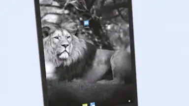 Capture d'écran de Android 13 Launcher 12