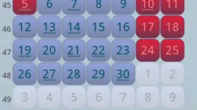 Capture d'écran de Простой Календарь Выходных РФ 6