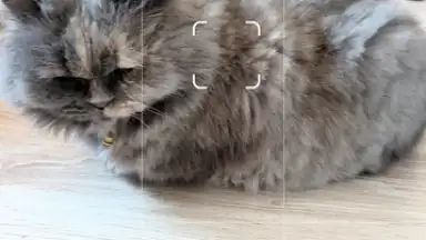 Capture d'écran de Camera Go 12