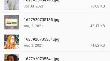 Capture d'écran de 7Z - Files Manager 2