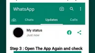 Capture d'écran de Whatsapp Status Saver 2