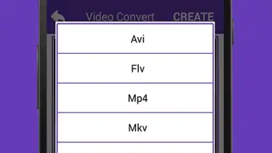 Capture d'écran de Video Converter 1