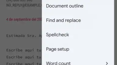Capture d'écran de Google Docs 14