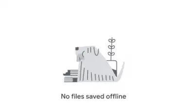 Capture d'écran de Google Classroom 16