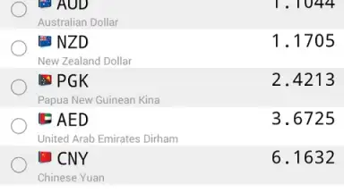 Capture d'écran de Daily Currency Rates 1