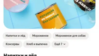 Capture d'écran de Yandex.Lavka 5