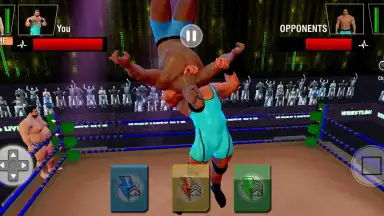 Capture d'écran de Tag Team Wrestling Games: Mega Cage Ring Fighting 2