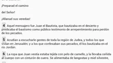 Capture d'écran de Biblia Castellano Castilian 4
