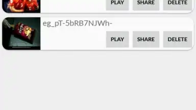 Capture d'écran de Video Downloader for Twitter 6