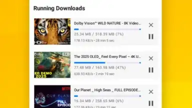 Capture d'écran de Vidora YouTube Downloader | free & fast 6