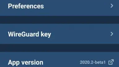 Capture d'écran de Mullvad VPN 7