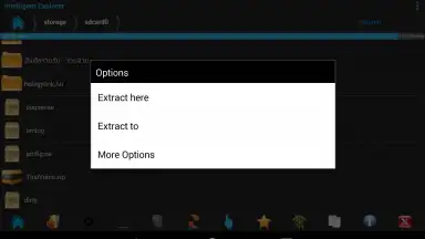 Capture d'écran de Intelligent Explorer Pro 12