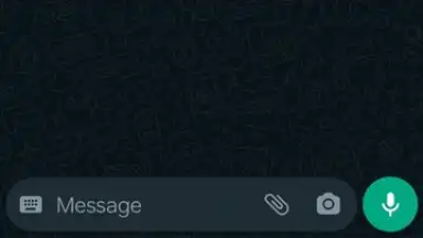 Capture d'écran de WhatsApp Messenger 23