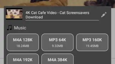Capture d'écran de Stellar Browser 1