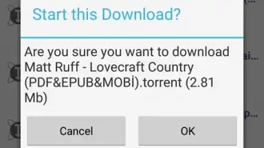 Capture d'écran de YouTorrents 6