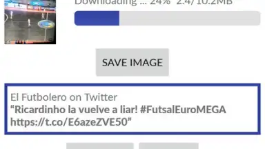 Capture d'écran de Video Downloader for Twitter 2