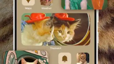 Capture d'écran de WidgetKit 8