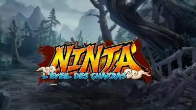 Capture d'écran de Ninja 1
