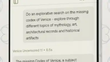Capture d'écran de Venice AI 3
