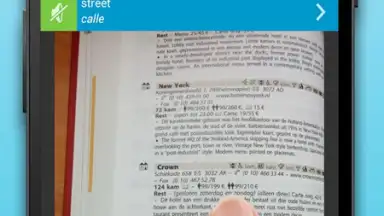 Capture d'écran de ABBYY Lingvo 3