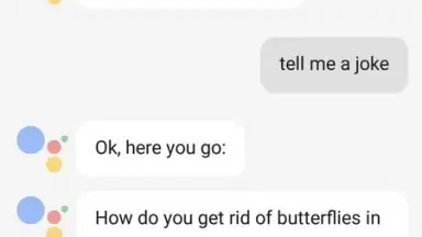 Capture d'écran de Google Assistant 3