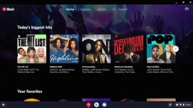 Capture d'écran de YouTube Music for Chromebook 4