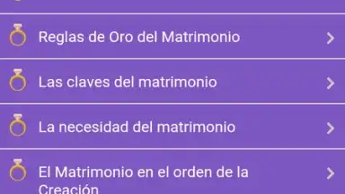 Capture d'écran de El Matrimonio Cristiano 2