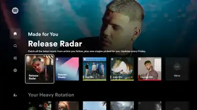 Capture d'écran de Spotify for Android TV 5