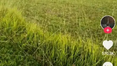 Capture d'écran de TikTok Lite 20