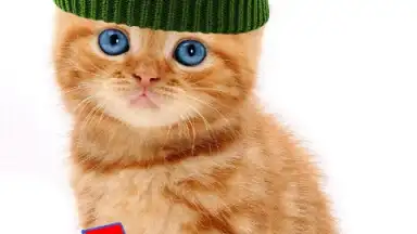Capture d'écran de Talking, Dancing Cat. 9