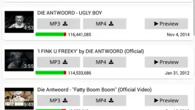 Capture d'écran de YT3 Music Downloader 1