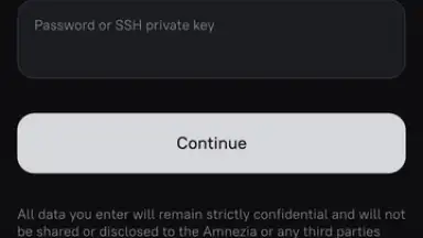 Capture d'écran de Amnezia VPN 11
