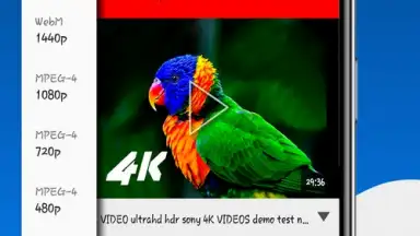 Capture d'écran de Fast Youtube Downloader 8