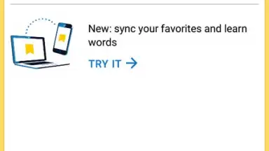 Capture d'écran de Yandex Translate 3