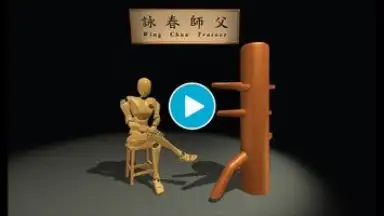 Capture d'écran de Wing Chun Trainer 1