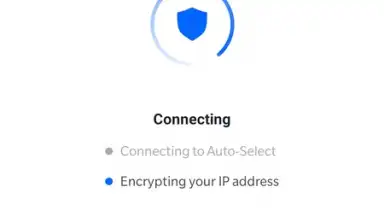 Capture d'écran de DeerShield - Free VPN 5