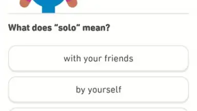 Capture d'écran de Duolingo 2