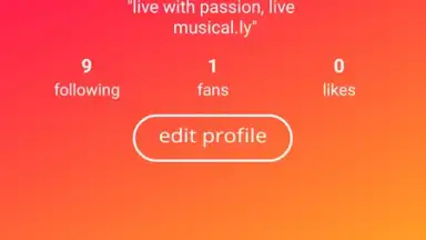 Capture d'écran de TikTok 8