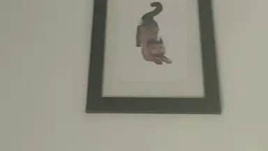 Capture d'écran de TikTok Now 9