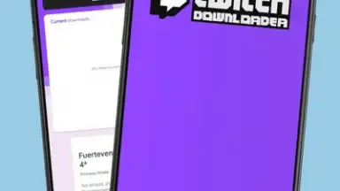 Capture d'écran de Twitch Downloader 1