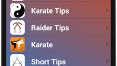 Capture d'écran de Karate Training 3