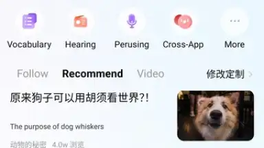 Capture d'écran de Baidu Translate 1