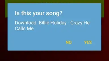 Capture d'écran de Youtube Mp3 Downloader 5
