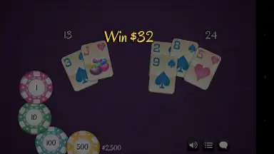 Capture d'écran de BlackJack 21 Pro 1