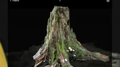 Capture d'écran de RealityScan - 3D Scanning App 13
