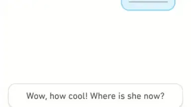 Capture d'écran de Duolingo 9
