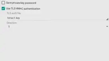 Capture d'écran de OpenVPN Client Free 4