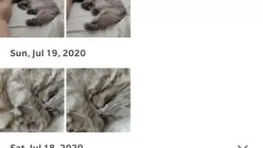 Capture d'écran de Google Photos 8