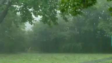 Capture d'écran de Relax Rain 1