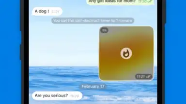 Capture d'écran de Potato chat 12